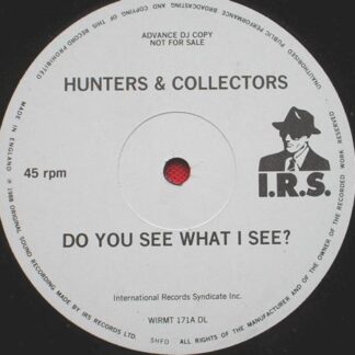 Hunters & Collectors Do You See What I See 12" IRS WIRMT 171 EX 1990s 12 inch