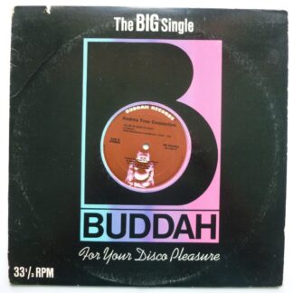Andrea True Connection NY You Got Me Dancing 12" Buddah BD564005 EX/VG 1977 US pressing, 12 inch single in die-cut Buddah sleeve