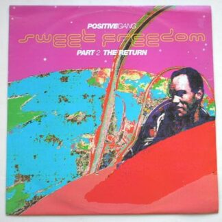 Positive Gang Sweet Freedom Part 2 The Return 12" PWL PWLT264 EX/EX 1992 12 inch