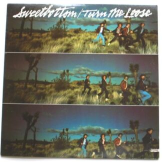 Sweetbottom Turn Me Loose LP Elektra 6E210 EX /EX 1979 US pressing, with inner