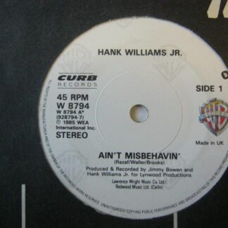 Hank Williams Jr Ain't Misbehavin' 7" Warner Bros W8794 EX 1985