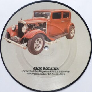 Jewel Akens Birds And The Bees 7"PD Lightning LIG9020P EX 1970s 7" picture disc, b-side by Fendermen