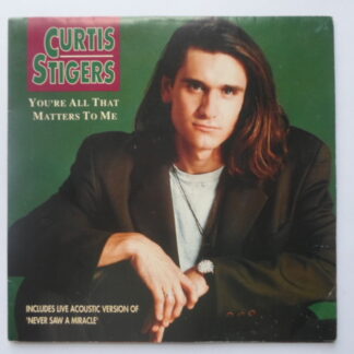 Curtis Stigers You're All That Matters To Me 7" Arista 115241 EX/EX 1992 poster sleeve