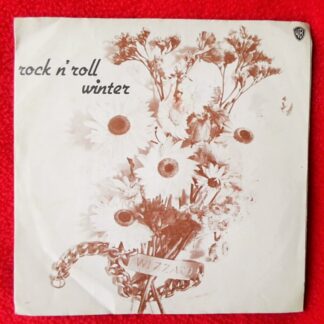 Wizzard Rock n Roll Winter 7" Warner Bros K16357 EX/VG 1974 picture sleeve