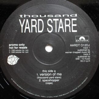 Thousand Yard Stare Version Of Me 12" Polydor AARDT 012DJ EX 1993 12 inch, promo
