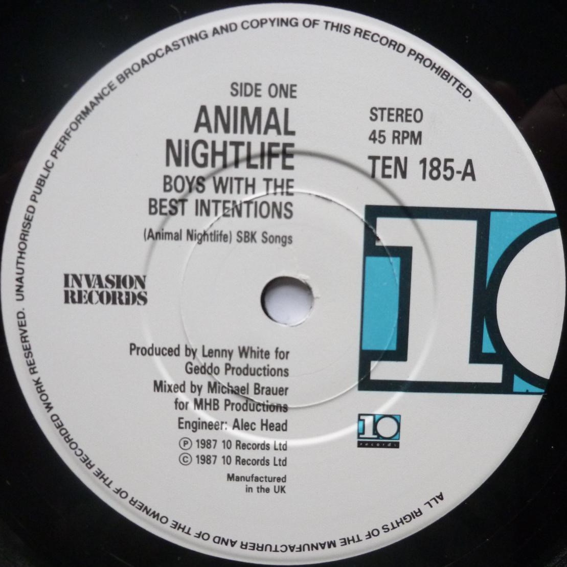 Animal Nightlife Boys With The Best Intentions 7" 10 TEN185 EX+/VG+ 1987 picture sleeve has small green sticker on front - Image 4