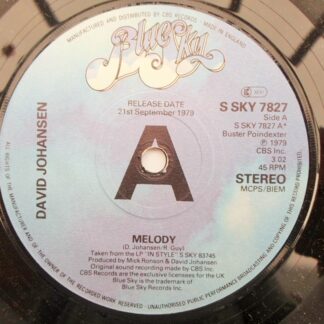 David Johansen Melody 7" Blue Sky SSKY7827 EX 1979 demo