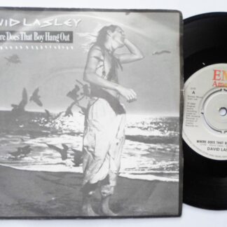 David Lasley Where Does That Boy Hang Out 7" EMI EA179 EX /EX 1984 picture sleeve
