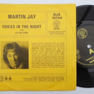 Martin Jay Voices In The Night 7" DJM DJS10744 EX/EX 1977 stock copy in demo picture sleeve