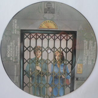 Rogue Borderland 7"PD Ariola AROPX 147 EX 1979 7" picture disc in pvc sleeve