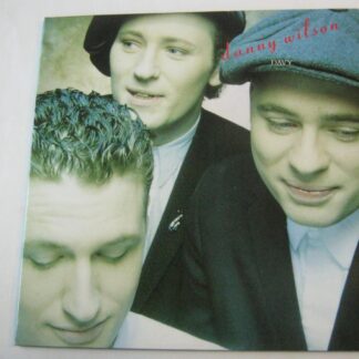 Danny Wilson Davy 7" Virgin VSG1095 EX/EX 1988 gatefold picture sleeve