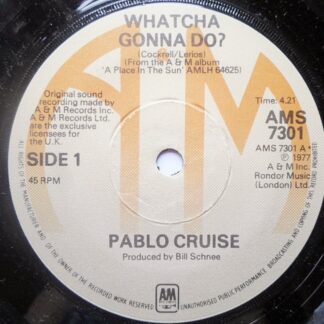 Pablo Cruise Watcha Gonna Do 7" A&M AMS7301 EX 1977