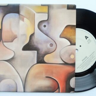 Praise Only You Laker Boy Mix 7" Epic 6566117 EX /EX 1991 picture sleeve