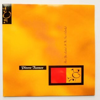 Pierce Turner Have You Looked At The Sun Lately 7" Beggars Banquet BEG231 EX/EX 1989 picture sleeve