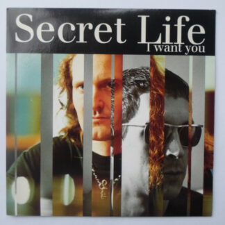 Secret Life I Want You Original 7 Edit 7" Pulse8 LOSE71 EX/EX 1994 picture sleeve