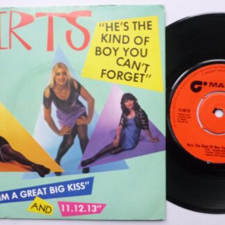 Flirts He's The Kind Of Boy You Can't Forget 7" Magnet MAG153 EX/VG 1979 picture sleeve