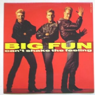 Big Fun Can't Shake The Feeling 12" Jive JIVET234 EX /EX 1989 12 inch