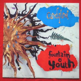 Candyland Fountain Of Youth Remix 12" Non Fiction YESX4 EX/EX 1990 12 inch
