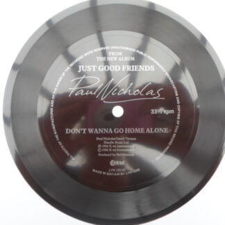Paul Nicholas Don't Wanna Go Home Alone flexi Lyntone LYN18192 EX 1986 6" flexidisc