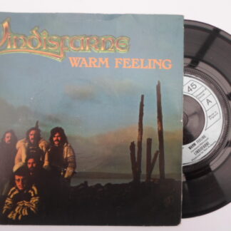 Lindisfarne Warm Feeling 7" Mercury 6007205 EX/VG 1978 picture sleeve