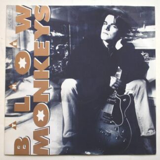 Blow Monkeys Some Kind Of Wonderful 12" RCA MONKT 7 EX/EX 1987 12 inch