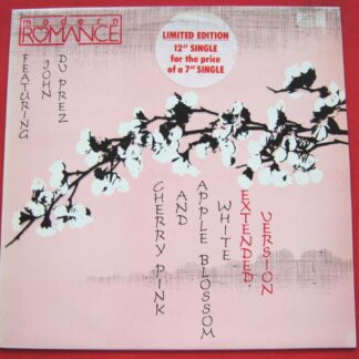 Modern Romance Cherry Pink And Apple Blossom White 12" WEA K19245T EX /EX 1982 12 inch