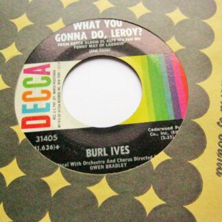 Burl Ives Call Me Mr In Between 7" Decca 31405 EX 1960s US pressing