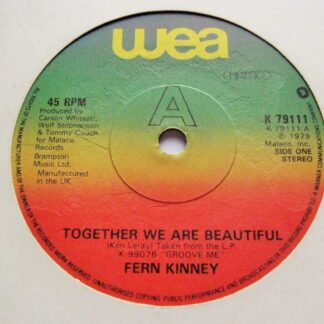 Fern Kinney Together We Are Beautiful 7" WEA K79111 EX 1979