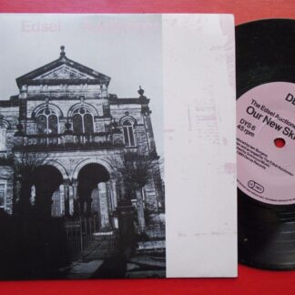 Edsel Auctioneer Our New Skin 7" Decoy DYS6 EX/EX 1989 picture sleeve