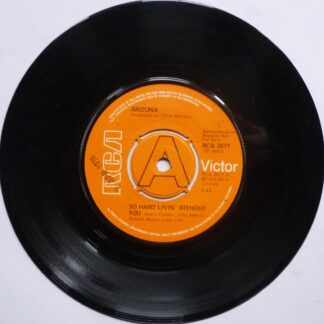 Arizona So Hard Livin' Without You 7" RCA Victor RCA2671 EX 1976 demo - there is date stamped on side one label