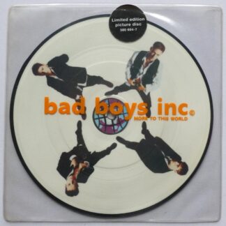 Bad Boys Incorporated More To This World 7"PD A&M 5806047 EX 1994 7" picture disc in pvc sleeve