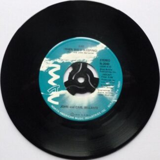 John & Carl Bellante Amy When She's Sleeping 7" North American Music Industries N2040 EX 1975 US pressing