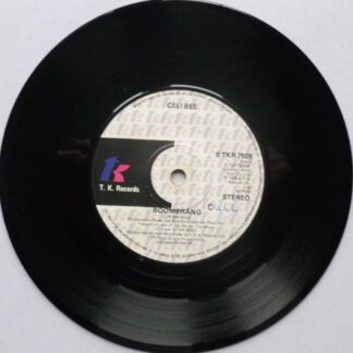 Celi Bee & Buzzy Bunch Boomerang 7" TK STKR7509 EX  1978 there is handwritten number on label and 2mm drill hole in label rim